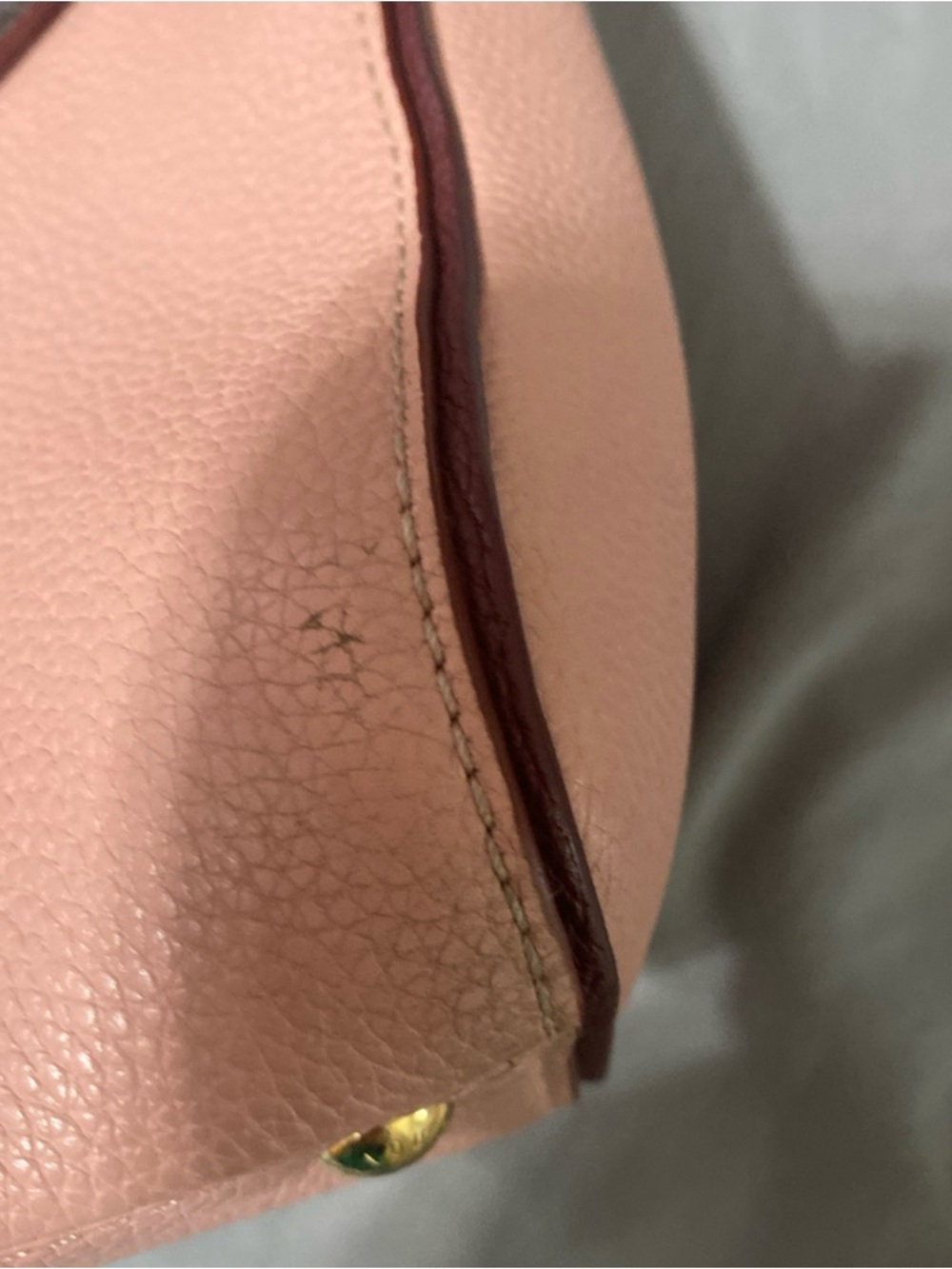 Louis Vuitton Rose Ballerine Leather and Monogram Coated Canvas Double V Bag - Picture 5 of 10